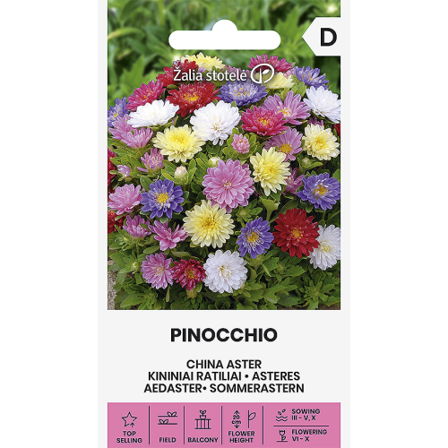 Asters frø PINOCCHIO MIX