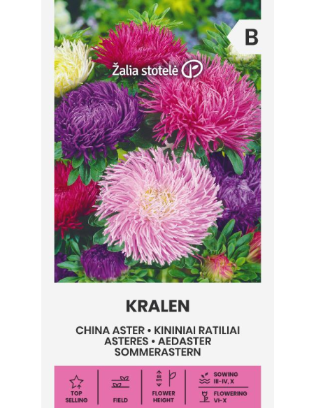 Sommerasters KRALEN