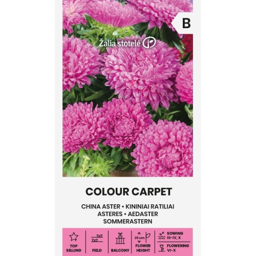 Sommerasters COLOUR CARPET