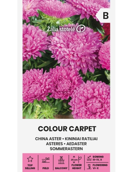 Sommerasters COLOUR CARPET