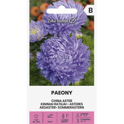 Sommerasters PAEONY LIGHT BLUE