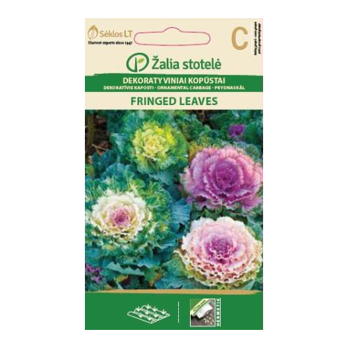 Prydkål FRINGED LEAVES