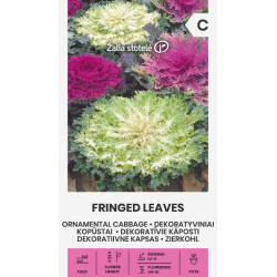 Prydkål FRINGED LEAVES