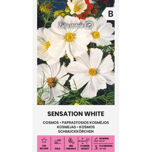Pyntekorg SENSATION WHITE