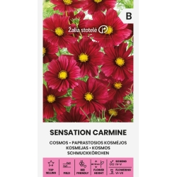 Pyntekorg SENSATION CARMINE