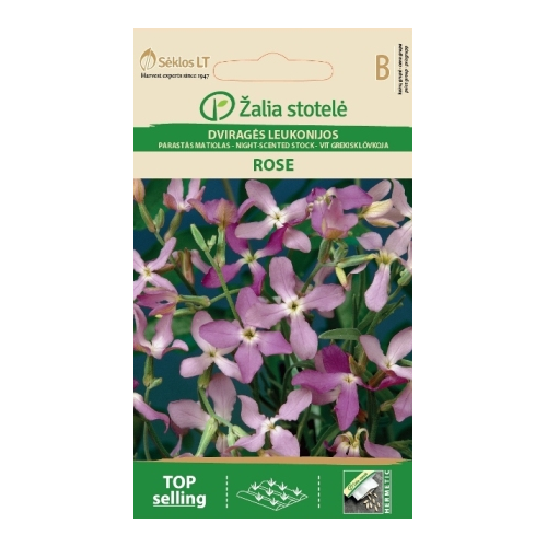 Hornlevkøy STOCK ROSE