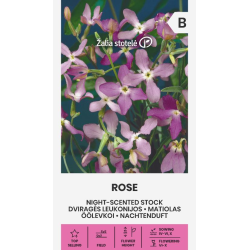 Hornlevkøy STOCK ROSE