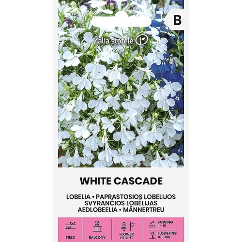 Lobelia WHITE CASCADE