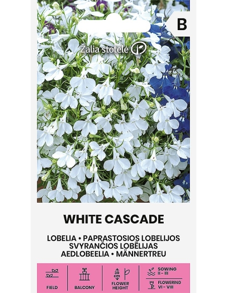 Lobelia WHITE CASCADE
