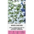 Lobelia WHITE CASCADE