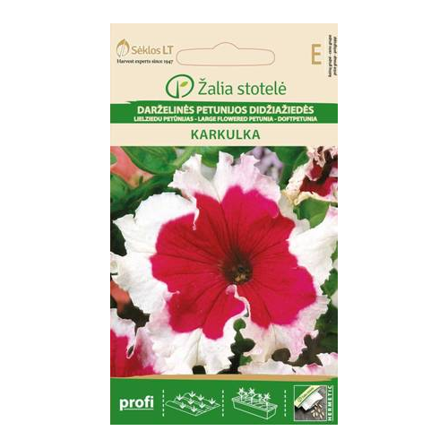 Petunia GRANDIFLORA KARKULKA