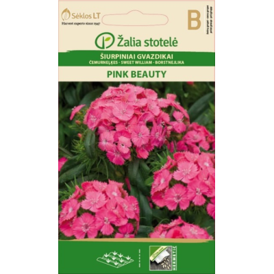 Busknellik frø PINK BEAUTY