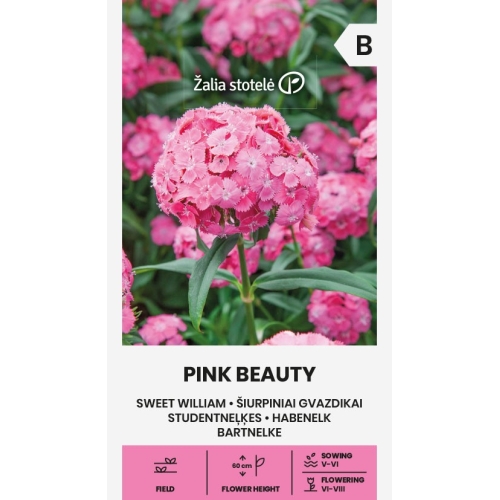 Busknellik frø PINK BEAUTY