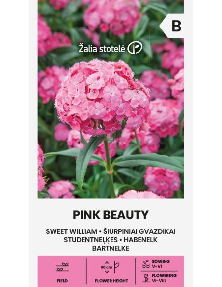 Busknellik frø PINK BEAUTY
