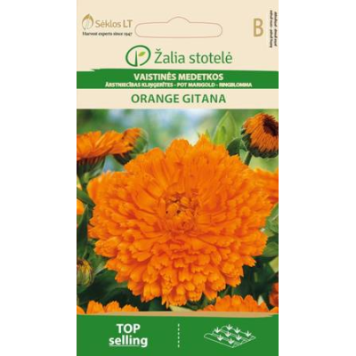 Ringblomst ORANGE GITANA