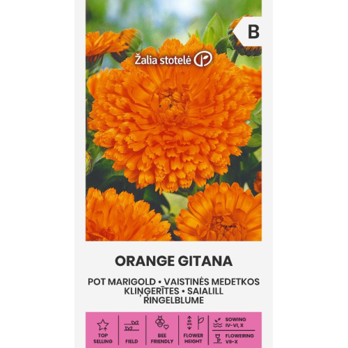 Ringblomst ORANGE GITANA