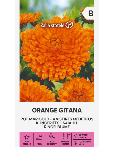 Ringblomst ORANGE GITANA