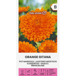 Ringblomst ORANGE GITANA