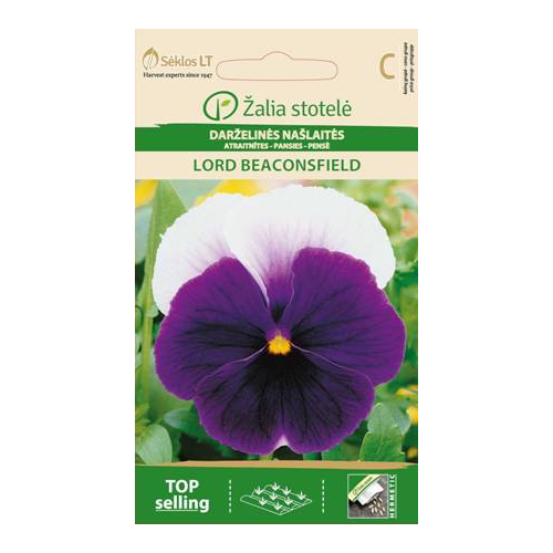 Stemorsblomster LORD BEACONSFIELD