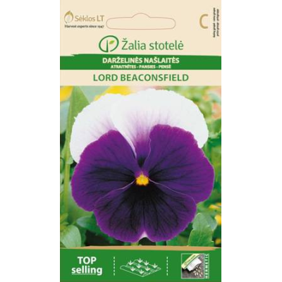 Stemorsblomster LORD BEACONSFIELD