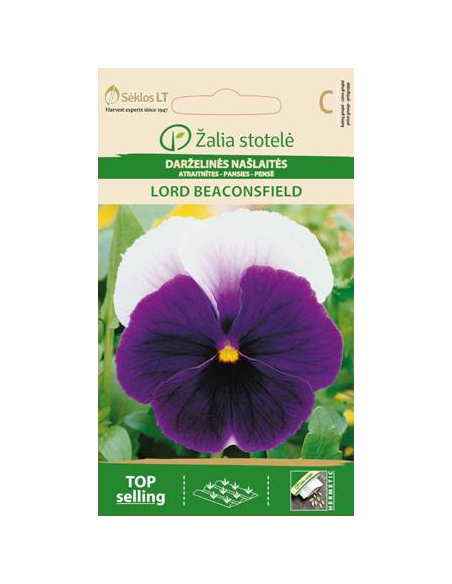 Stemorsblomster LORD BEACONSFIELD