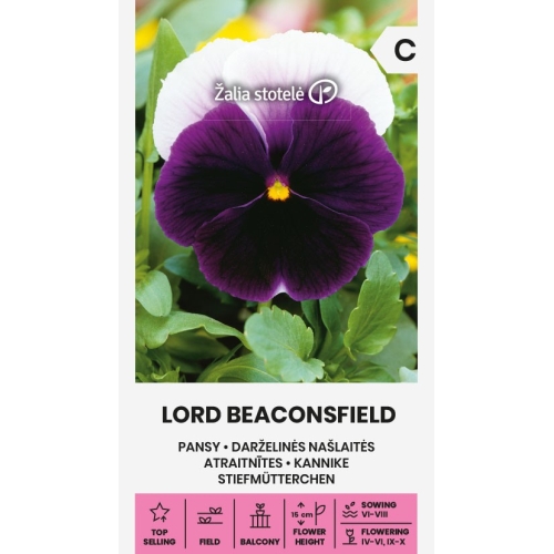 Stemorsblomster LORD BEACONSFIELD