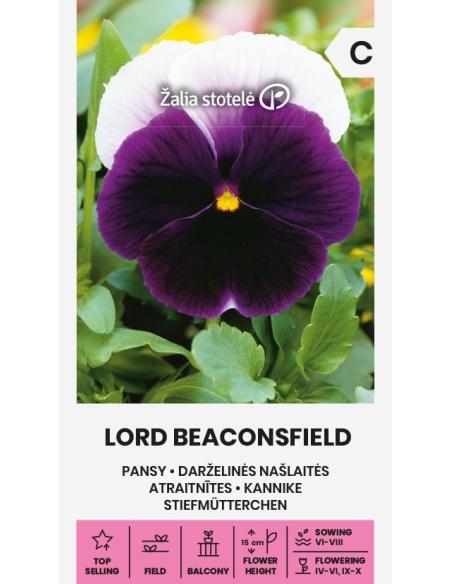 Stemorsblomster LORD BEACONSFIELD