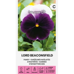 Stemorsblomster LORD BEACONSFIELD
