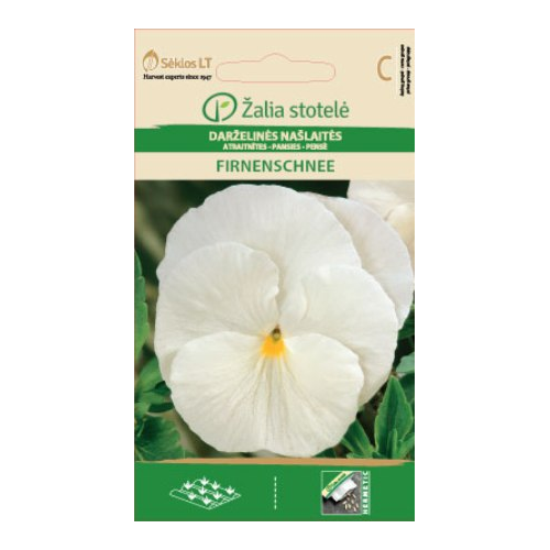 Stemorsblomster FIRNENSCHNEE