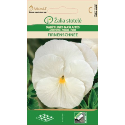 Stemorsblomster FIRNENSCHNEE