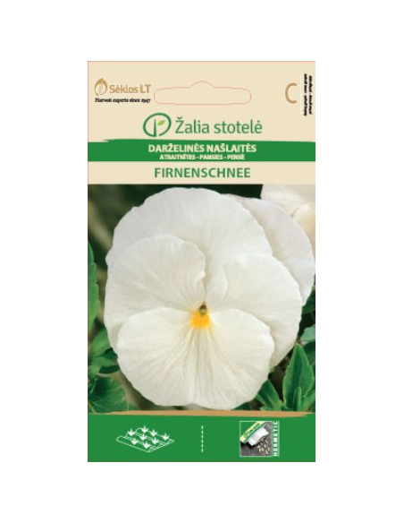 Stemorsblomster FIRNENSCHNEE