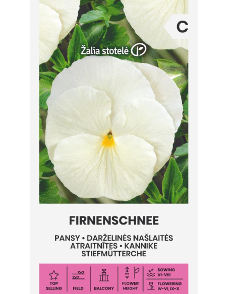 Stemorsblomster FIRNENSCHNEE