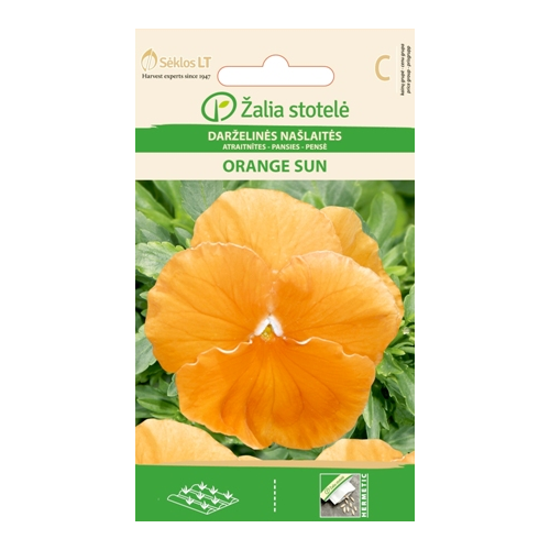 Stemorsblomster ORANGE SUN