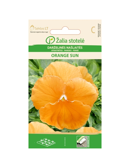 Stemorsblomster ORANGE SUN