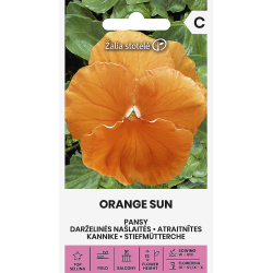 Stemorsblomster ORANGE SUN