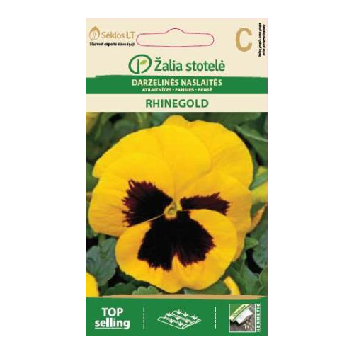 Stemorsblomster RHINEGOLD