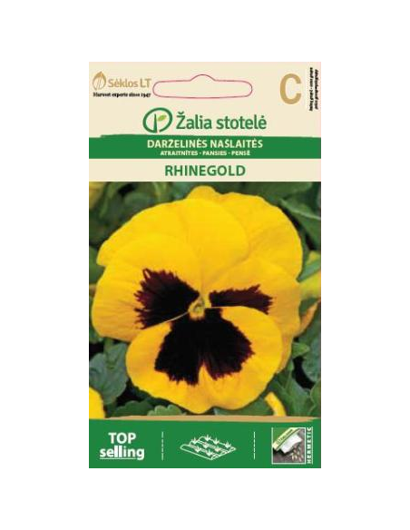 Stemorsblomster RHINEGOLD