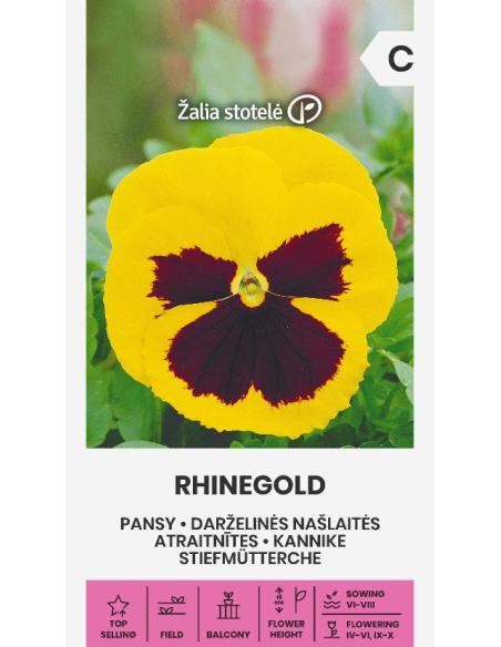 Stemorsblomster RHINEGOLD