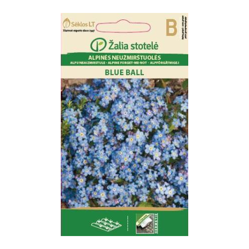 Skogforglemmegei BLUE BALL