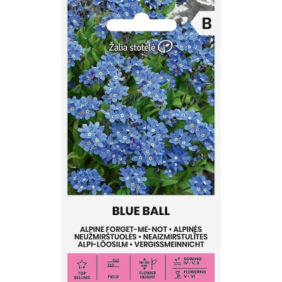 Skogforglemmegei BLUE BALL