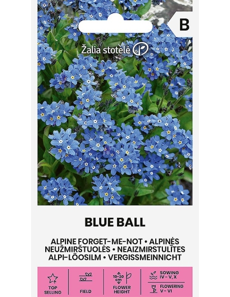 Skogforglemmegei BLUE BALL