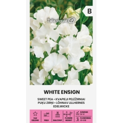 Blomsterert WHITE ENSIGN