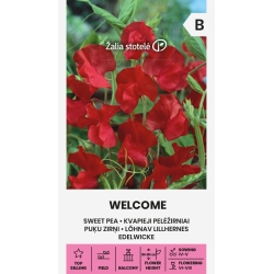 Blomsterert WELCOME