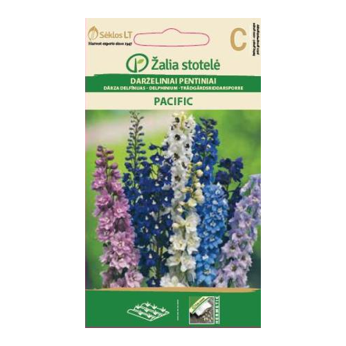 Hageridderspore DELPHINIUM PACIFIC