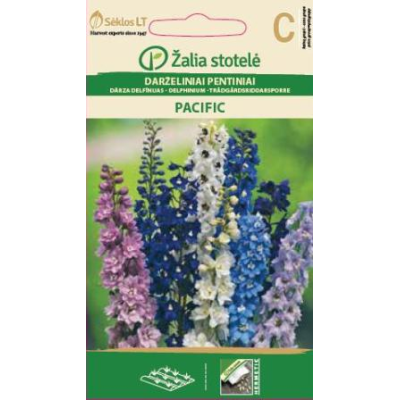 Hageridderspore DELPHINIUM PACIFIC