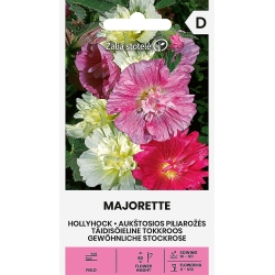 Stokkrose SUMMER CARNIVAL