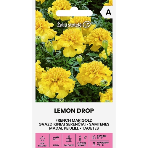 Fløyelsblomst LEMON DROP