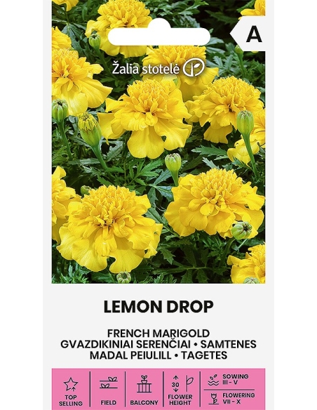 Fløyelsblomst LEMON DROP