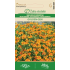 Liten fløyelsblomst GOLDEN GEM