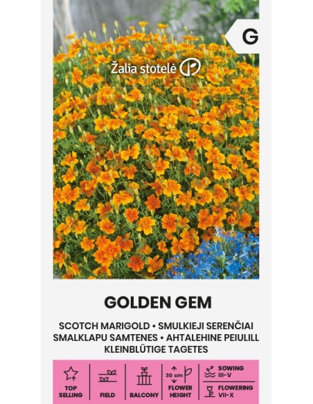 Liten fløyelsblomst GOLDEN GEM